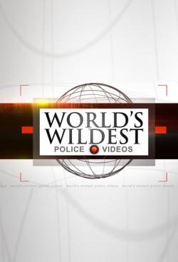 World’s Wildest Police Videos