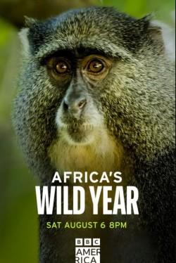 Africa’s Wild Year
