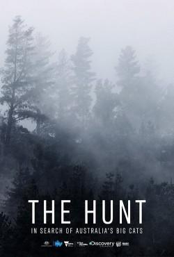 The Hunt: In Search of Australia’s Big Cats