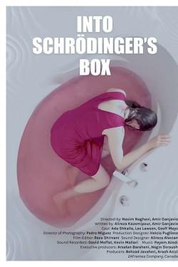 Into Schrodinger’s Box