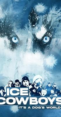Ice Cowboys – It’s a dog’s world