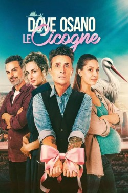 Dove osano le cicogne